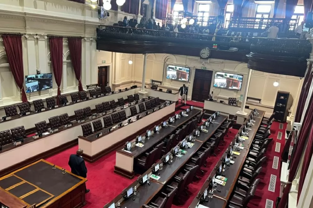DA to take action after chaotic scenes erupt at the KZN Legislature