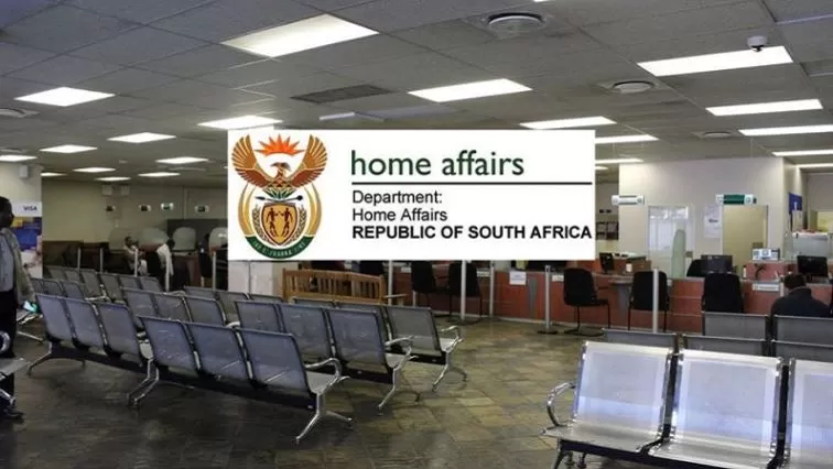 Palestinian travellers didn’t seek asylum in SA: Schreiber