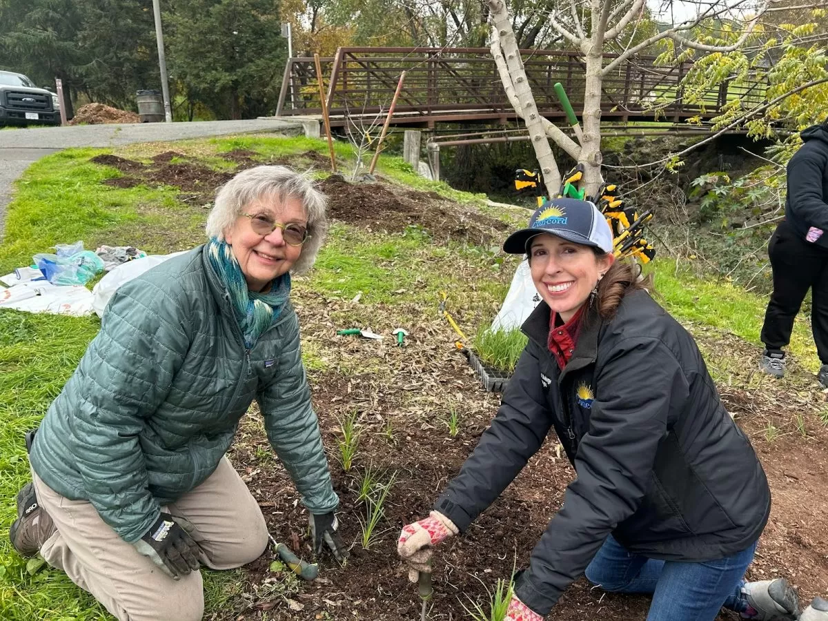 Contra Costa’s ecosystem being restored, one indigenous plant at a time