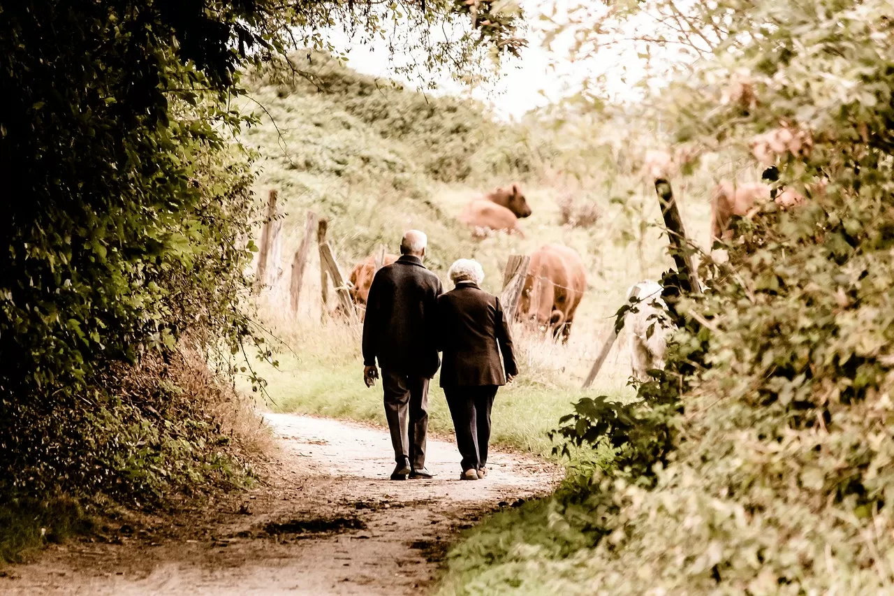 What Causes Falls in Elderly? Medical Conditions & Balance Problems Seniors Must Know