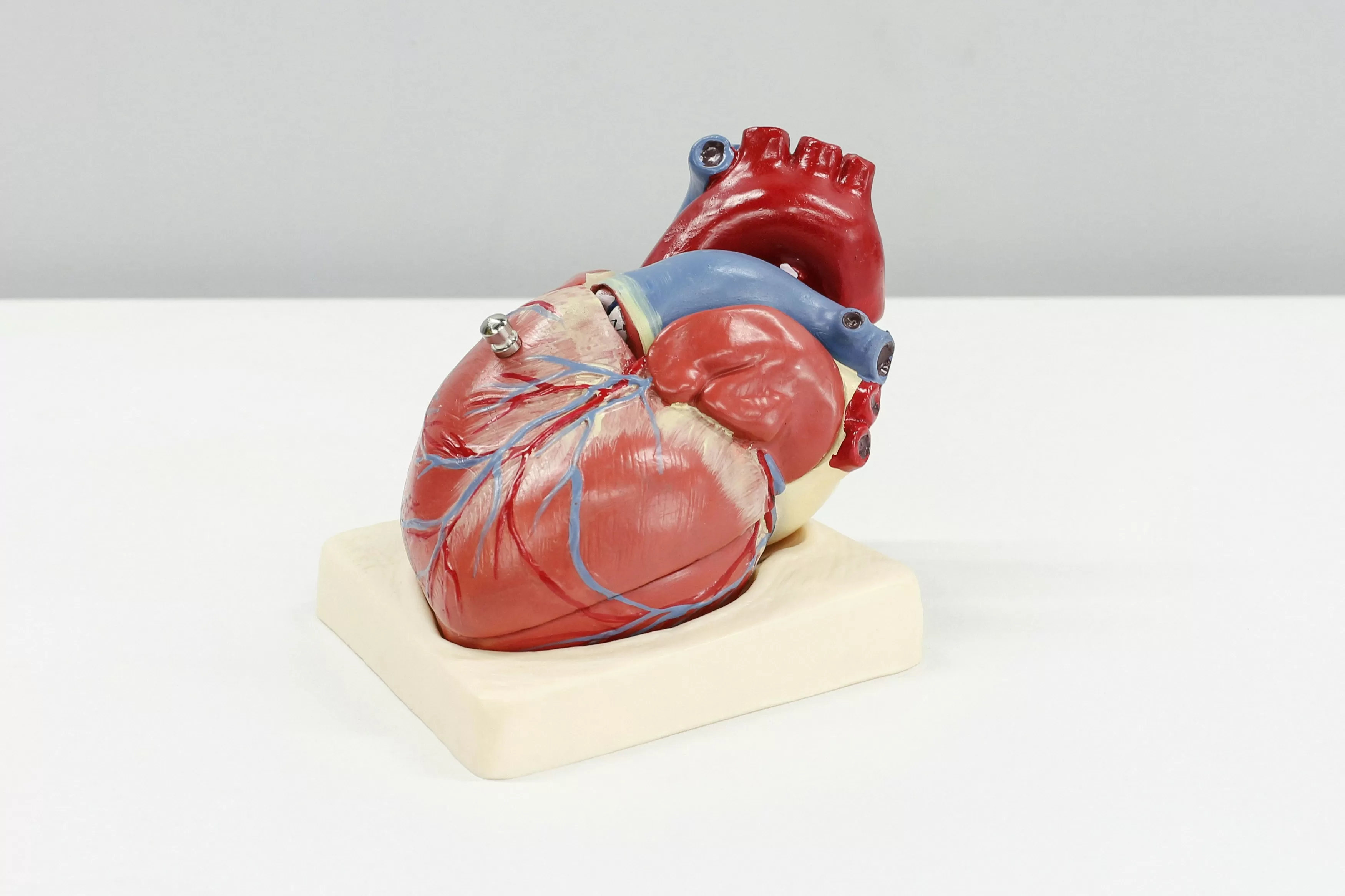 Heart Failure vs Heart Attack: Key Differences, Symptoms, and Cardiac Risks Explained