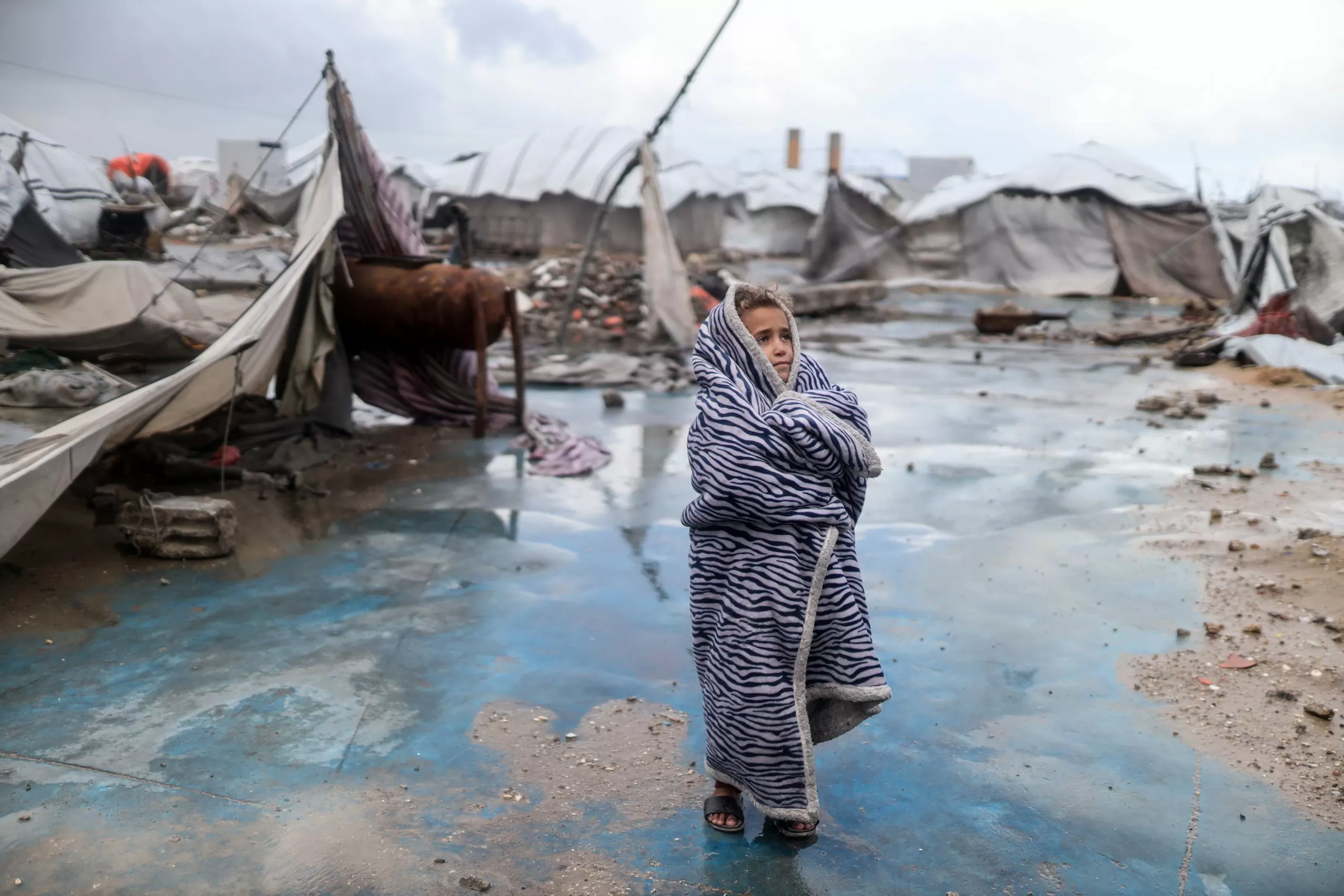 ‘We are still living in a selective ceasefire’: Gaza, 2026