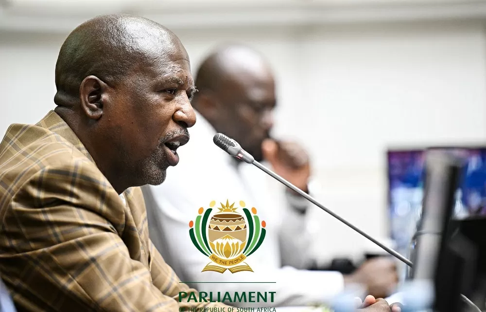 Ad Hoc Committee now under extreme time constraints: Lekganyane