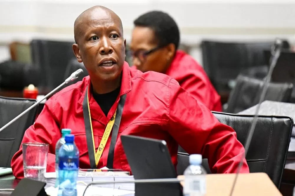 Heated exchange ensues over Malema’s Ad Hoc Committee absence
