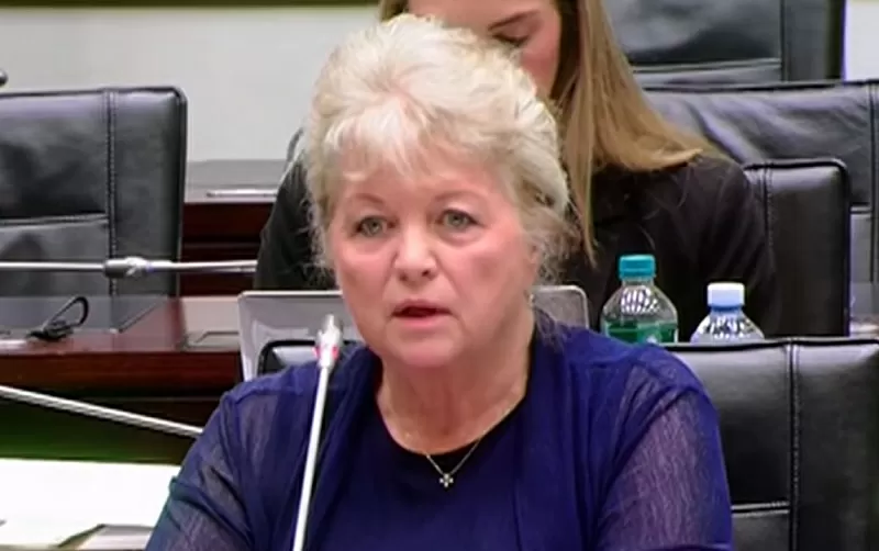 Kohler-Barnard warns against labelling entire judiciary problematic