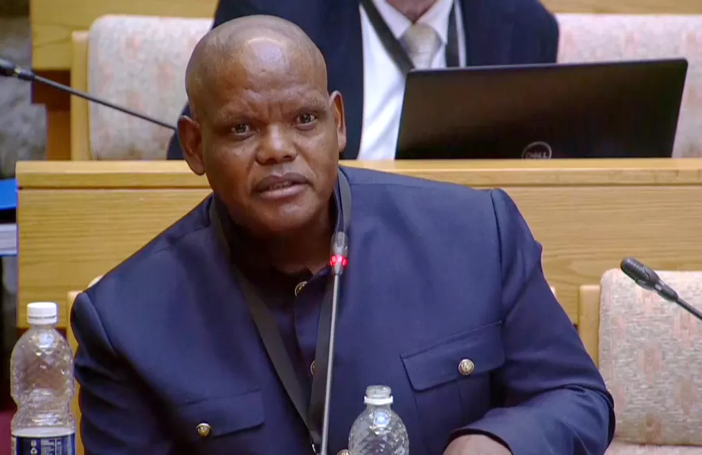 Phahlane forced to retract comments at Ad Hoc Committee