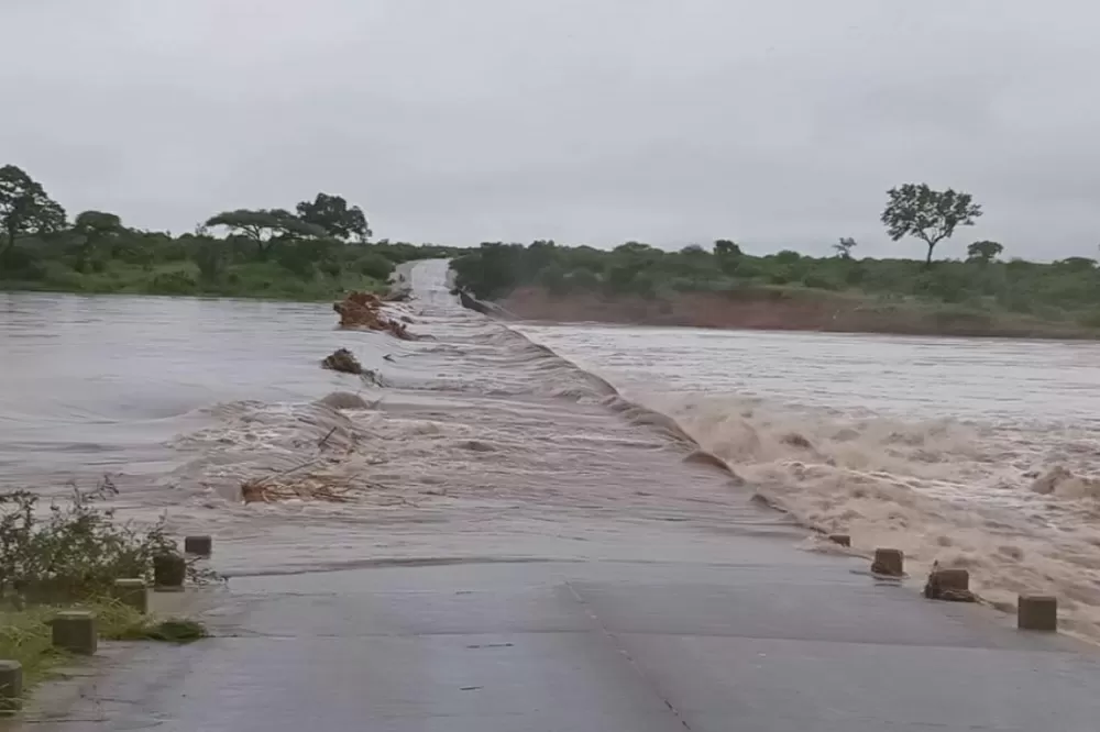 No place for corruption during flood relief: ANC Limpopo