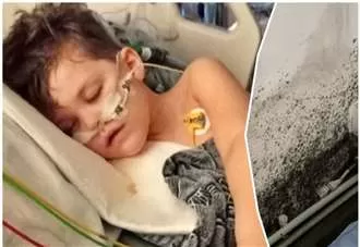 ‘I’m worried our mouldy flat will make my son’s battle with brain tumour harder’