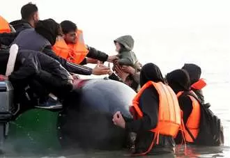 Controversial council ‘illegal migration emergency’ motion dropped