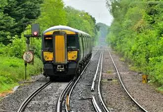 ‘Guard says he’s never seen it in 25 years’: Delays after train hits flock of birds