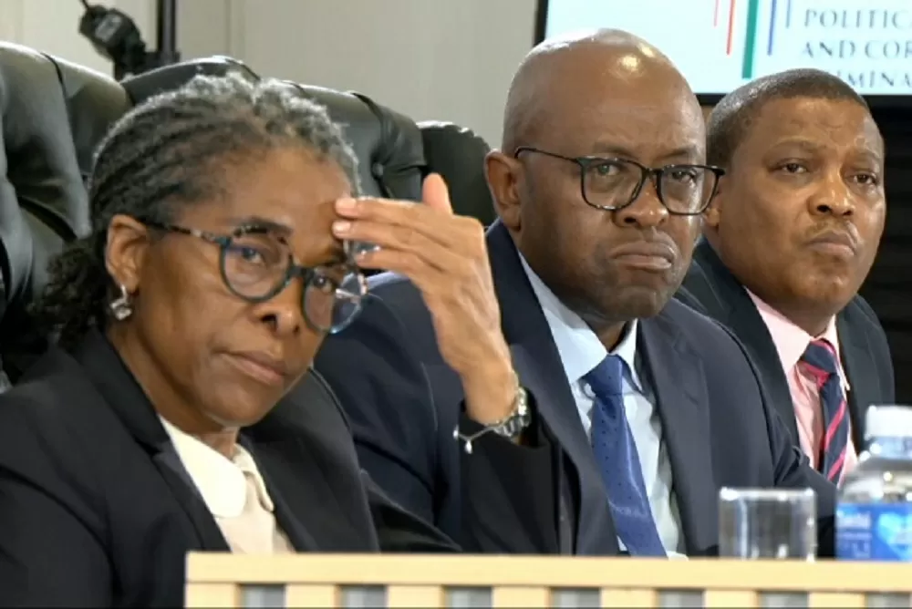 Madlanga Commission’s Witness G to testify virtually and off-screen