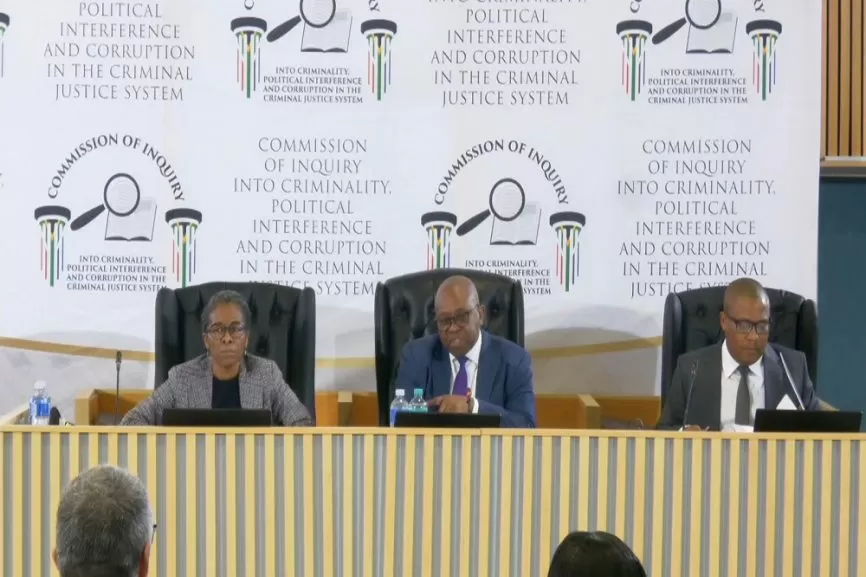 Madlanga Commission welcomes arrest of suspect in Witness D murder
