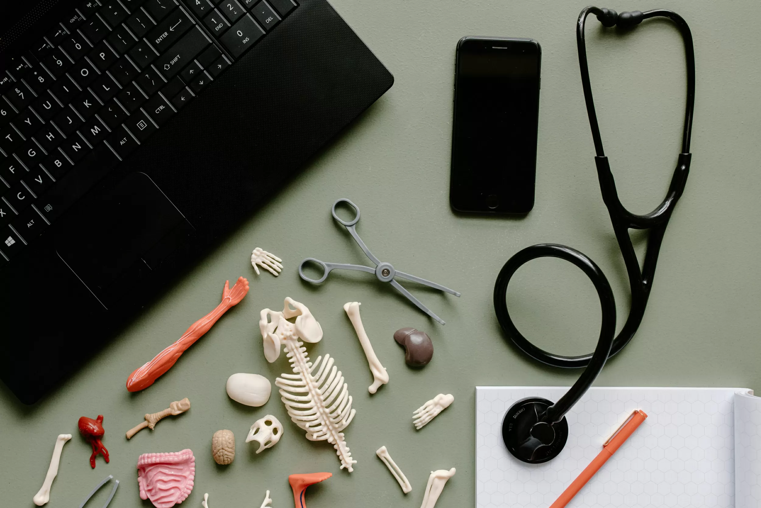 Biohacking Trends in 2026: Exploring Risks, Benefits, and Safety of Popular Health Hacks