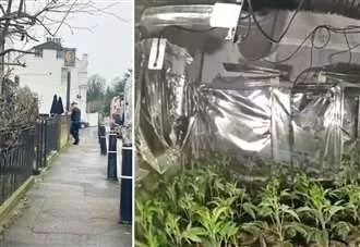Suspected cannabis farm uncovered by police probing noise complaint