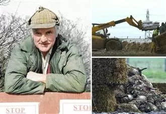 Foot and mouth crisis 25 years on: ‘No farmer wants to see anything like it again’