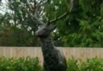 Bronze stag statue worth thousands of pounds stolen from garden