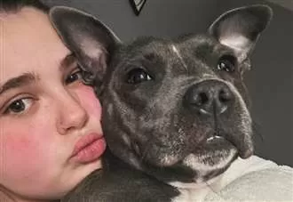 Owners’ shock after 'clumsy' dog diagnosed with rare brain disorder