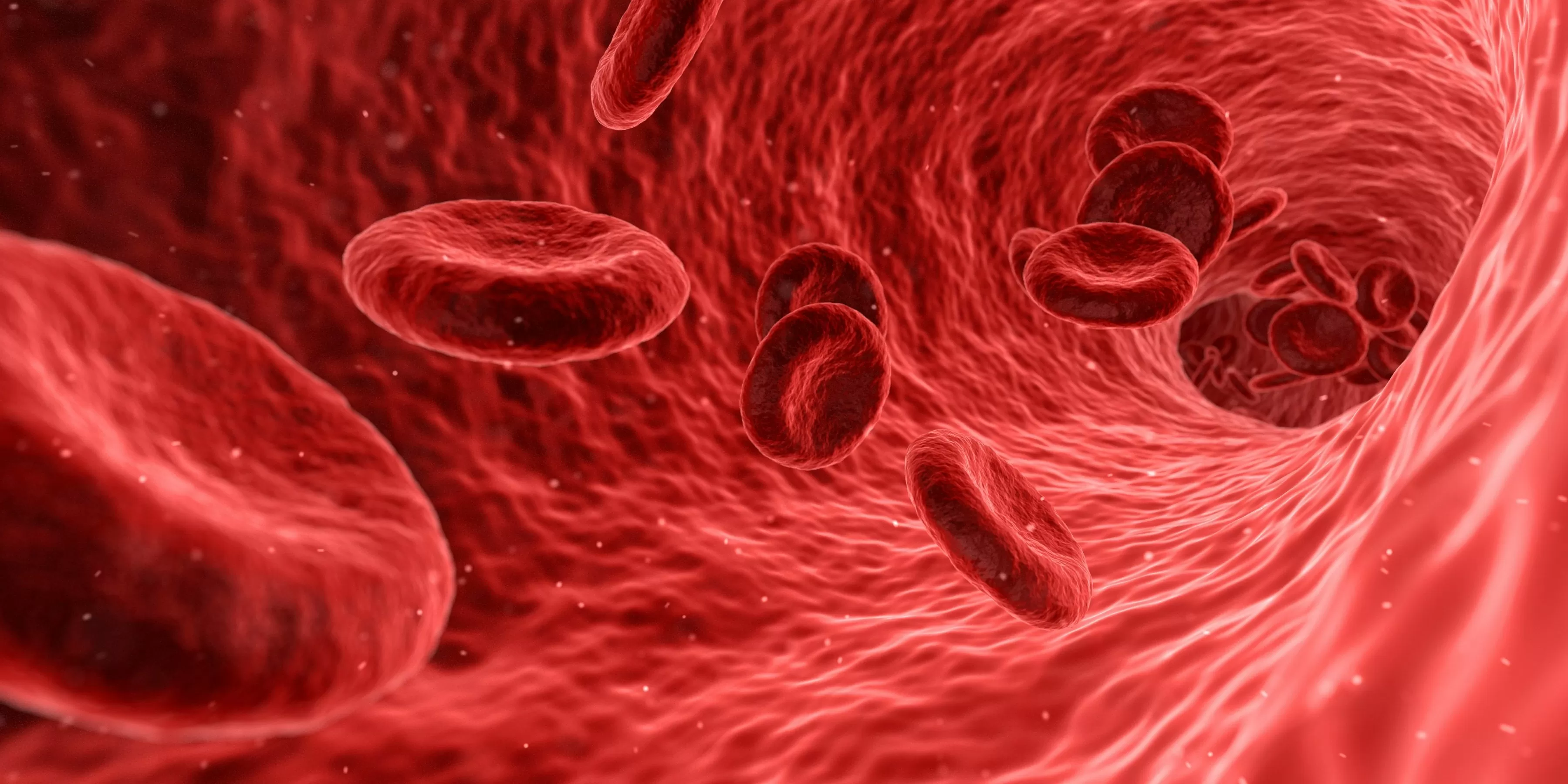Antihypertensives and Hypertension Drugs Plus Lifestyle Steps for Long Term BP Control