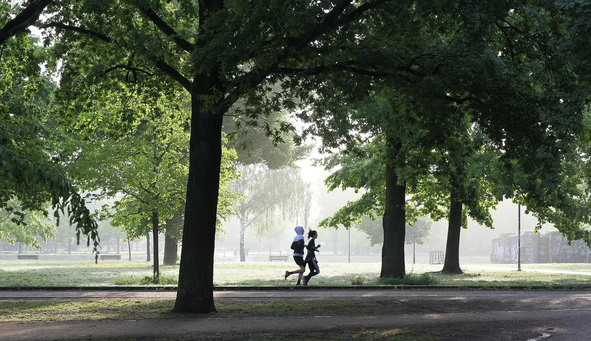 Best Time to Exercise for Weight Loss: Morning vs Evening Workouts Explained