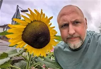 ‘I got fed up of it looking so miserable - so I started planting sunflowers everywhere’