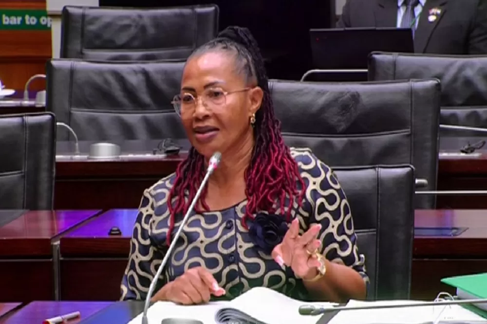 Vuma says she invoked Protected Disclosures Act during SAPS probe