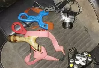 Two teens who killed pheasants ‘inhumanely’ with catapults sentenced