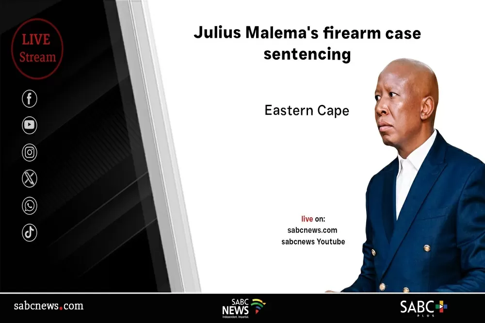 LIVE: Julius Malema’s firearm case sentencing